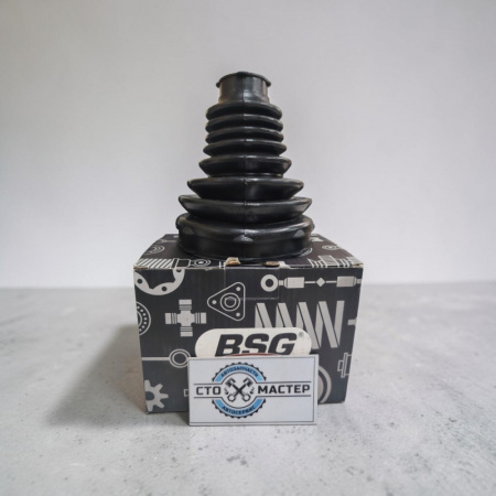 BSG30705062_1