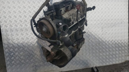Двигатель F1AE3481D